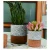 Import Custom Small Size Gray Cup Shaped Cement Garden Flower Pot With Cork Base Accessory from China
