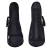 Import Custom World Musical Instruments Guitar Cases Bag from China