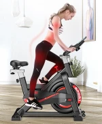 Customised Flywheel 6kg Bluetooth With Stand Monitor Commercial Gym Fitness Magnetic Resistance Indoor Exercise Spinning Bike