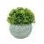 Import Customized Mini Artificial Potted Plants Small Artificial Succulents Plants For Office Desk Decoration from China