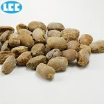 Dead Burned Magnesite/DBM/dead burnt magnesia  MgO98/Refractory Material