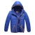 Import detachable sleeve outdoor wear feather down winter coats  boys winter jacket from China