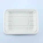 Disposable Standard Supermarket Meat Poultry Frozen Food Trays