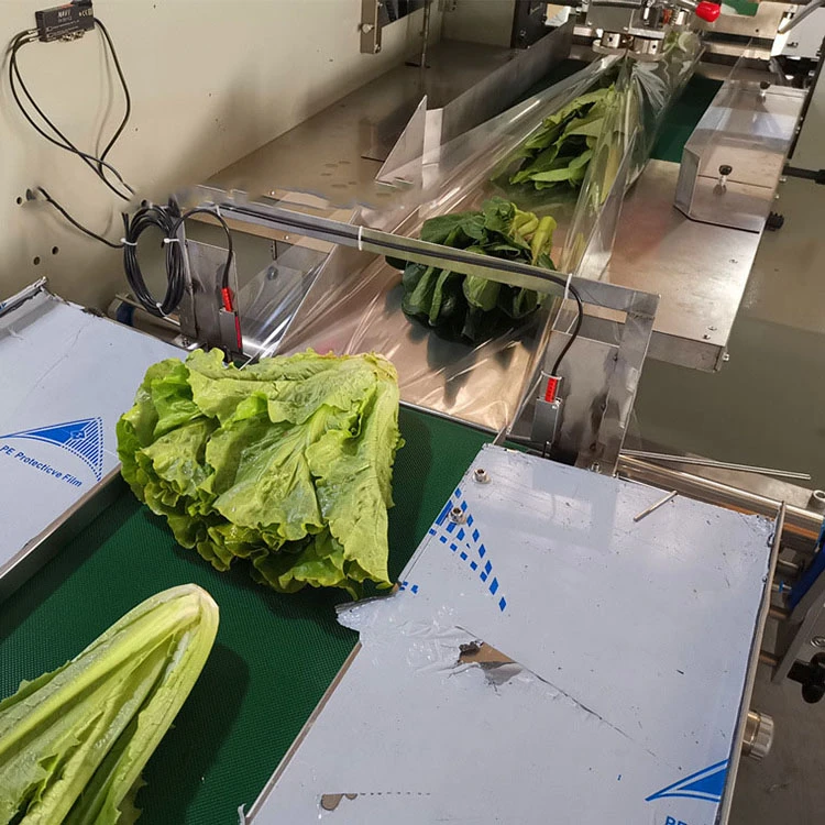 Double Servo motor mesh belt pillow type mobile fresh vegetable packaging whole lettuce vegetable packing machine