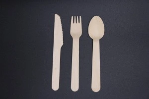 Eco-Friendly Feature and Flatware Sets Wooden Type Edible Cutlery