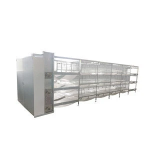 Egg layer broiler battery chicken animal cages for for zambia