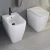 Import Elongated Toilet cover Live room floor  Bowl wc gold concealed red water closet Back inlet universal trap forum  bidet factory from China