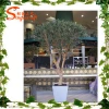 Evergreen ornamental plants plastic bonsai tree for decor olive tree