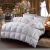 Import Export Germany A+ duvet 95 white goose down winter duvet quilt single and double silent silk core authentic products from China