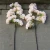 Import F-1519 Discount Wholesale Wedding Decoration Artificial Flower Stem White Cherry Blossom Tree Arches from China