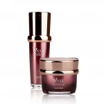 Face Skin Care High Vitamin C Reduce Dark Spots Whitening and Anti-aging with 100% Natural Fruit Extracts Sets 15 ml