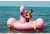Import Factory sell cheap price inflatable swan toy , pool floating , pool animal rider from China