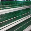 Factory Supply A Type Galvanized Chicken Poultry Layer Cage Bird Cage For Sale