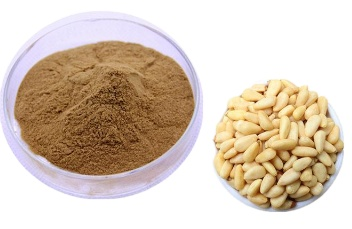 Factory Supply Natura Organic Pine Extract Powder/High quality Pine Nut Kernel Powder Pinenut Oil pinolenic Acid Plant Extract
