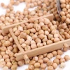 factory wholesale dried kabuli chickpeas