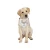 Import Fanni Hot Selling Pet Wedding Tuxedo Bow Tie Dog Bandana Collar from China