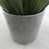 Fashion Style Artificial Grass Green Decorative Mini Pots Plants