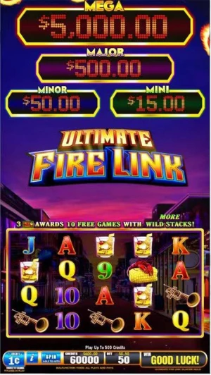 Fire Link Slot Machine Casino Slot Machine Gambling Firelink Slot Machines For Sale