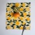 Import Free Eco-Friendly Kitchen Cloth Food Roll Paper Bee wax Wrap from China