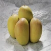 Fresh Alphonso Mangoes In Online