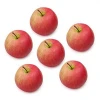 Fresh Apple Fruit / Quality Fresh Apple / Red Apple Fruit