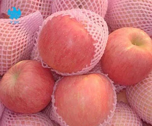 Fresh Apple/fresh apple specifications/apple fruit fresh