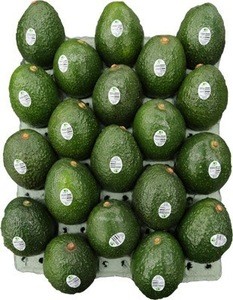 FRESH AVOCADO HASS, BEST QUALITY IN MEXICO