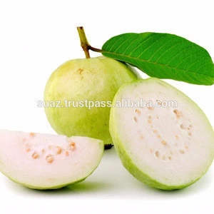 Fresh Bulk White Guava , Wholesale Fresh Guava Sweet Cheap Guava