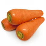 FRESH CARROT