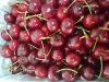 Fresh Cherries (Boxed)