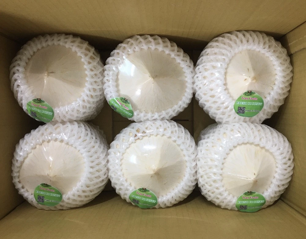 Fresh Coconuts With 15cm Size And 600-800g/pcs Weight Packing In Cartons From West Of Vietnam