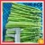 Import Fresh Dried Freeze Asparagus from China