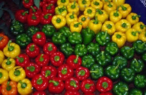 FRESH FARM GREEN AND RED CAPSICUM