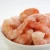 Import Fresh Frozen Shrimp from Canada