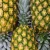 Import FRESH GOLDEN PINEAPPLE (MD2) from China