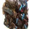 Fresh Lobsters/Seafood/Rock Lobsters