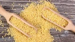 Fresh Oats For Sell
