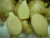 Import Fresh Old Ginger for Oil Extracting/ Food Grade consumption fromVietnam from Vietnam