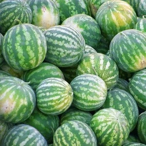 Fresh sweet water melon