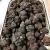 Import fresh truffles Younium Fresh Matsutake Mushroom Dried Truffle Truffles wholesale bulk organic High Quality lu Dry Fresh Black from China