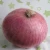 Import fresh vegetables red onion exporters india from China