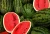 Import Fresh Watermelon/Watermelon fruit from Ukraine