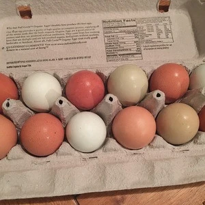 From USA - Pastured Chicken Eggs