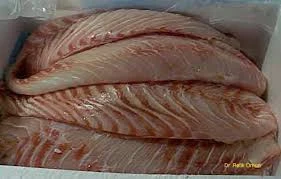 Frozen Haddock Fillet Fish Fillet Ocean Fish Seafood For Sale