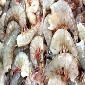 Frozen Wholesale Gulf Shrimp for Sale Good Quality Frozen Shrimp