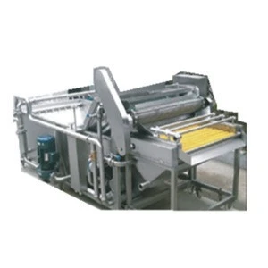 Fruit and vegetable cleaning machine /ozone fruit and vegetable washer
