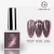 Import Galaxy 12 Color Nail Private Label Cats Eyes UV Gel Crystal Magnetic Gel Nail Polish from China