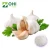 Import Garlic Extract/Garlic Extract Powder/Garlic Extract Allicin from China