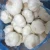 Import Garlic Fresh And Dried Garlic Cheap Premium Quality 100% from South Africa