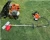 Import Gasoline Grass Cutter Trimmer Brush Cutter from China